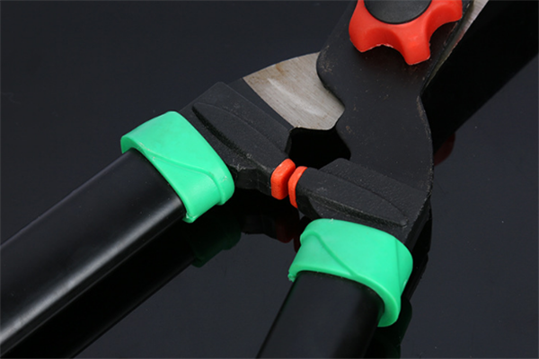 圖片展示 圖片展示