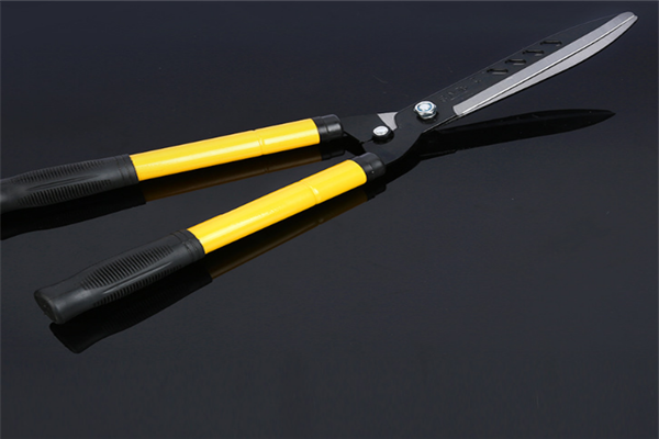 圖片展示 圖片展示