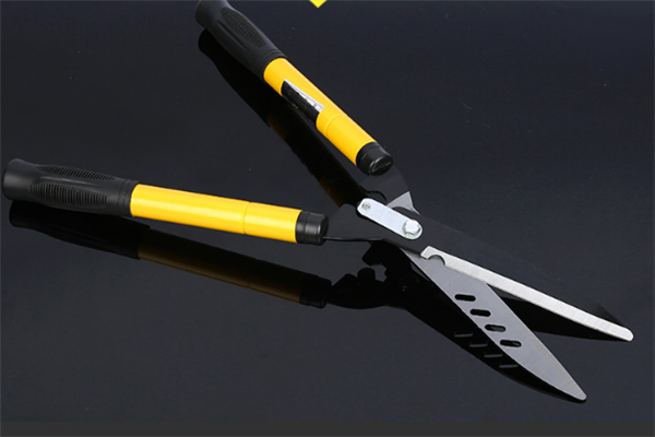 圖片展示 圖片展示