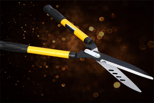 圖片展示 圖片展示