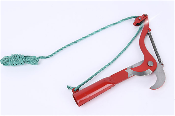 圖片展示 圖片展示