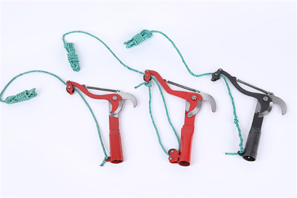 圖片展示 圖片展示