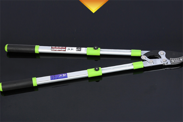 圖片展示 圖片展示