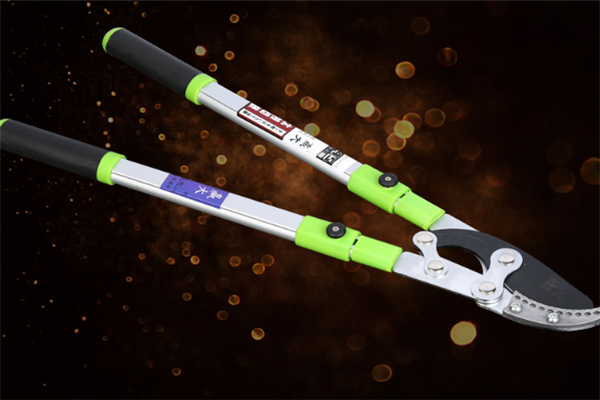 圖片展示 圖片展示