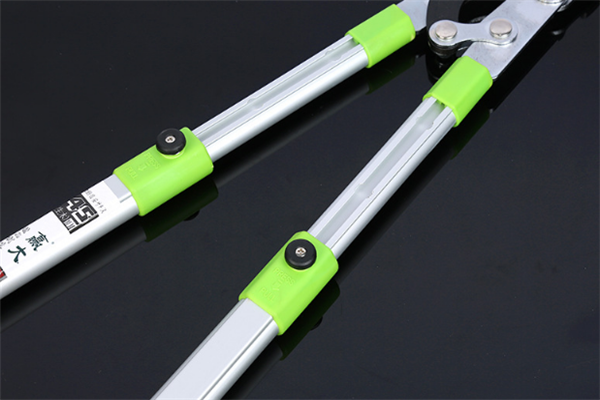 圖片展示 圖片展示