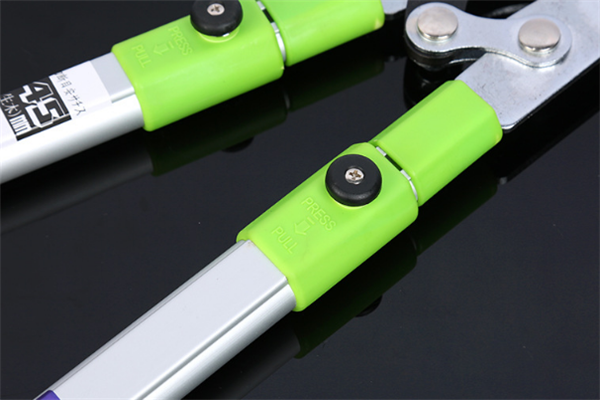 圖片展示 圖片展示