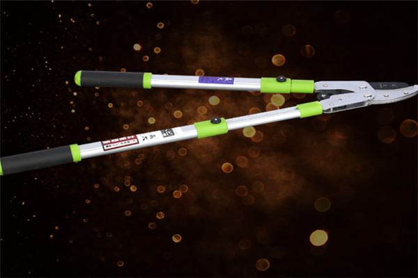 圖片展示 圖片展示