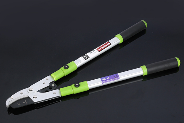 圖片展示 圖片展示