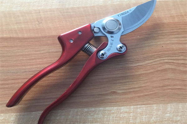 圖片展示 圖片展示