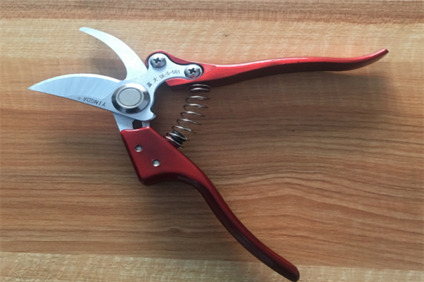 圖片展示 圖片展示