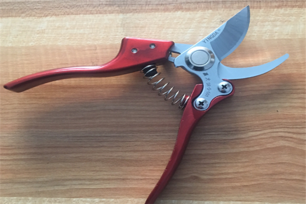 圖片展示 圖片展示