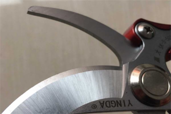 圖片展示 圖片展示