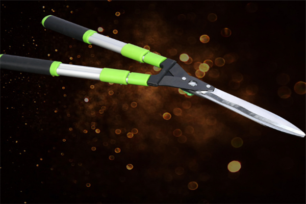 圖片展示 圖片展示