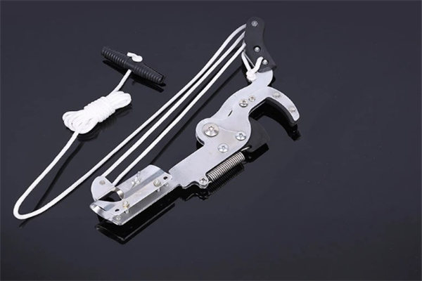 圖片展示 圖片展示