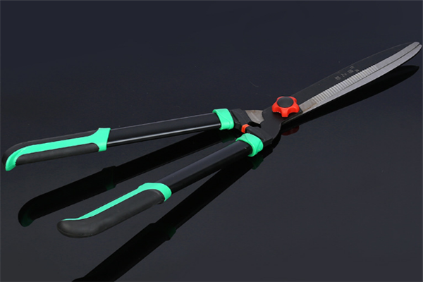 圖片展示 圖片展示