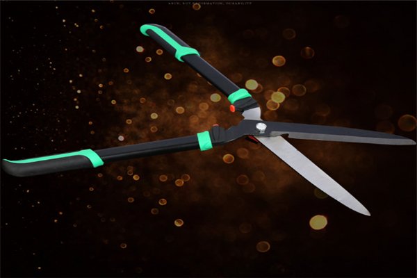 圖片展示 圖片展示