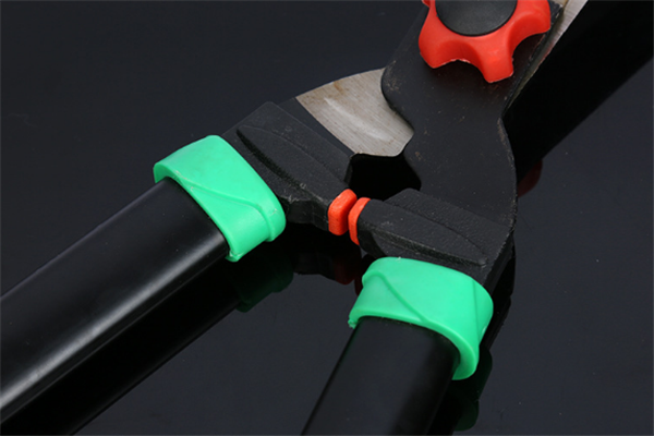 圖片展示 圖片展示