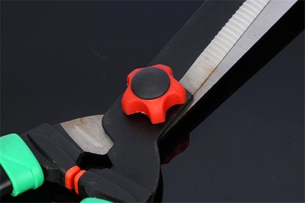 圖片展示 圖片展示