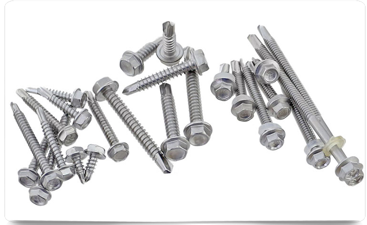 圖片展示 圖片展示