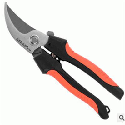 20210330-1617086965795786.jpg 20191128131536_26801.jpg