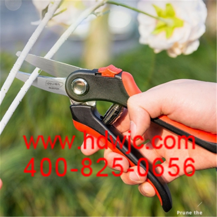 20240515-1715736286780123.jpg 20200911205310_27830.jpg